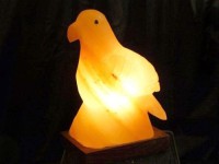 Animal shape rock salt lamps