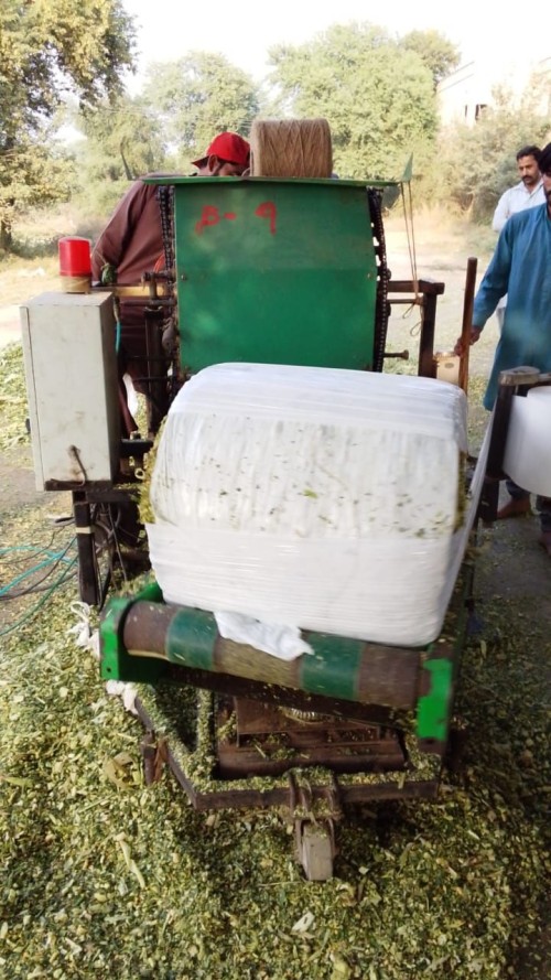 corn silage and animal feed dairy feed